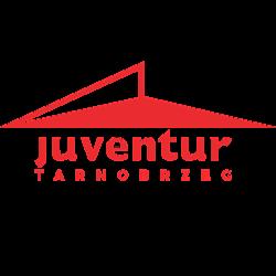 Juventur - logo