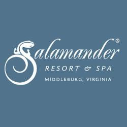 Salamanderresort - logo