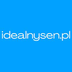 Idealnysen - logo