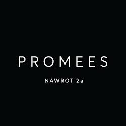 Promees - logo