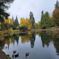 Portlandonline - logo