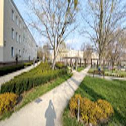 Park-24 - logo