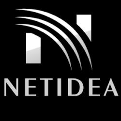 Netidea - logo