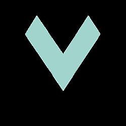 Veloport - logo