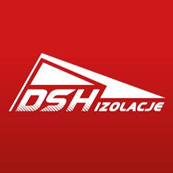 Dshizolacje - logo