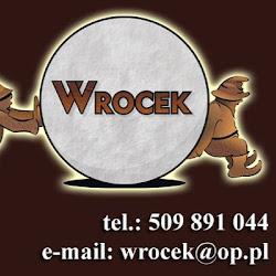 Wroclaw-przewodnicy - logo