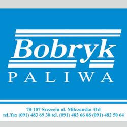 Bobryk - logo