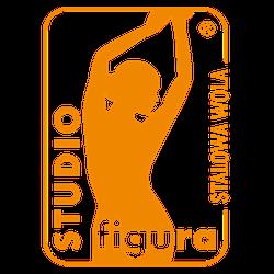 Studiofigurastalowawola - logo