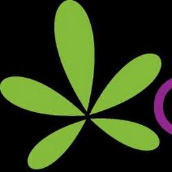 Cannasense - logo