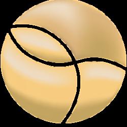Msmclinic - logo