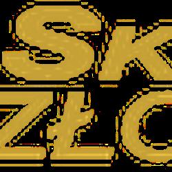 Skup-zlota24h - logo