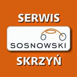 Skrzyniebiegow - logo