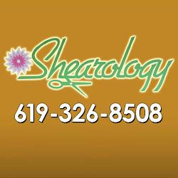 Shearologysalon - logo