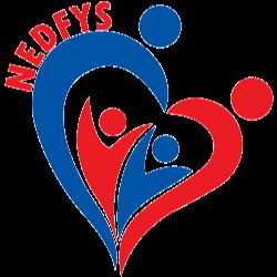 Nedfys - logo