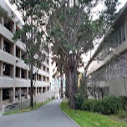 Sfsu - logo