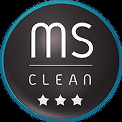 Ms clean - logo