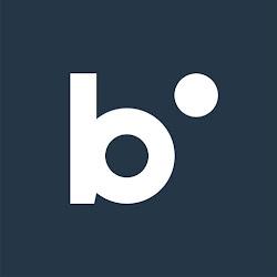 Brailleinstitute - logo