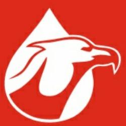 Falconpaliwa - logo