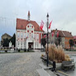 Gostyn - logo