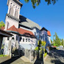 Bellinghamtheatreguild - logo