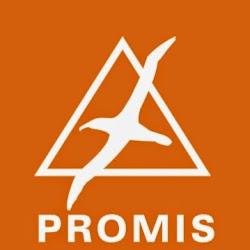 Projektidruk - logo