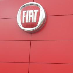Napletonsfiat - logo