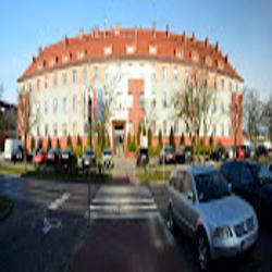 Powiat-lubin - logo
