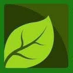 E-warzywa - logo