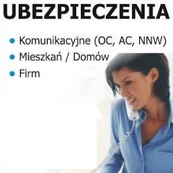 Expertpolisa - logo