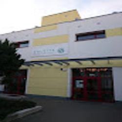 Salvita - logo