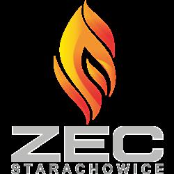 Zecstar - logo