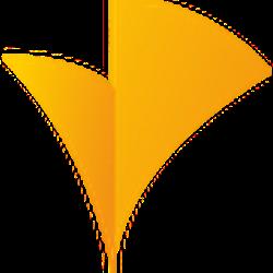 Selvatour - logo
