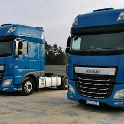 Ibiza-transport - logo