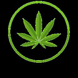 Konopiafarmacja - logo