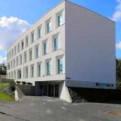 Fundacja - logo