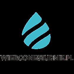 Wierconestudnie - logo