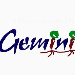 Geminichojnice - logo