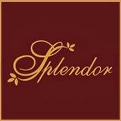 Sala-splendor - logo