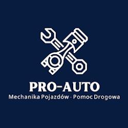 Pro autopomocdrogowa24h - logo