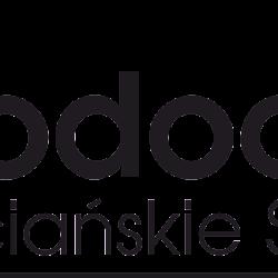 Wodociagi-koscian - logo