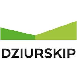 Dziurskip - logo