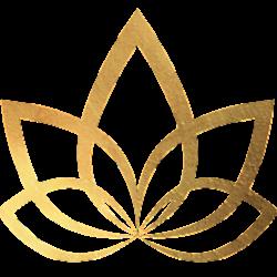 Top laser - logo