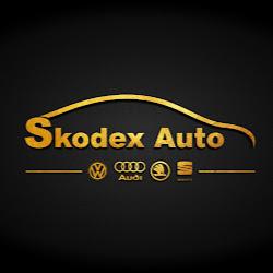 Skodexauto - logo