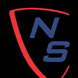 Northstatesecuritygroup - logo