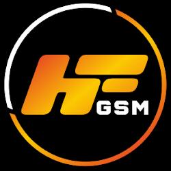 Hfgsm - logo