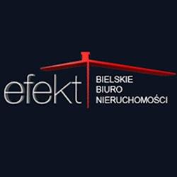 Bbn efekt - logo