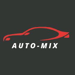 Skup automix - logo