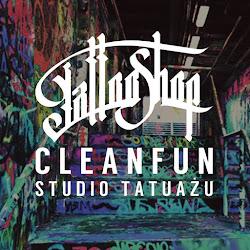 Cleanfun - logo