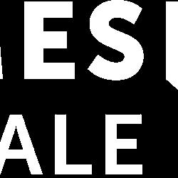 Homesforsaleinmesquitenevada - logo
