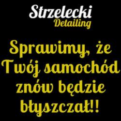 Strzeleckidetailing - logo